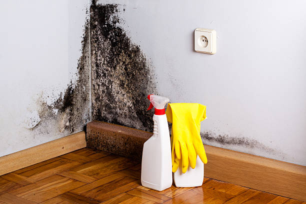 Best Emergency water damage restoration  in New York Mills, MN